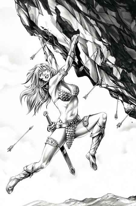 Red Sonja: She-Devil with a Sword (2025 Dynamite) #4 - Cover N Mike Rooth B&W Virgin Variant (1:7 Retailer Incentive)