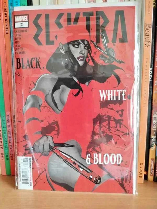 Elektra Black White Blood 2 (Adam Hughes cover) 2021